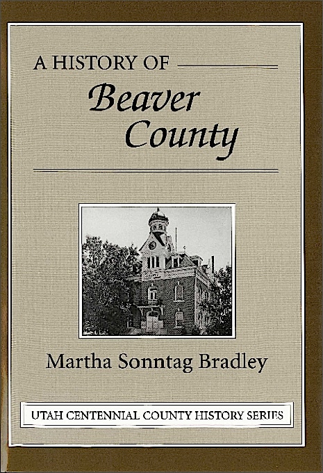 Title details for A History of Beaver County by Martha Sonntag Bradley - Wait list